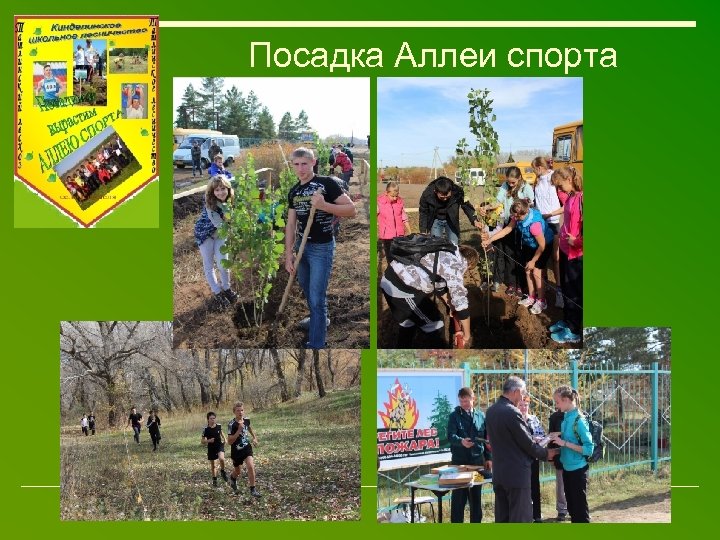 Посадка Аллеи спорта 