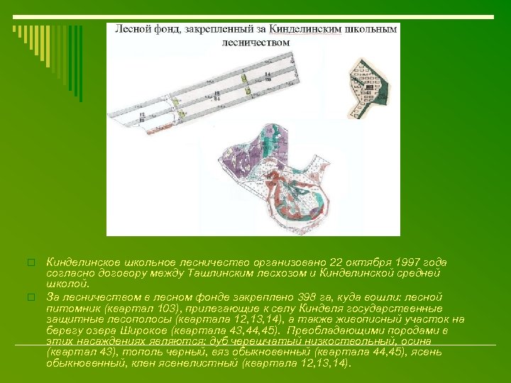 Кинделинское школьное лесничество организовано 22 октября 1997 года согласно договору между Ташлинским лесхозом и