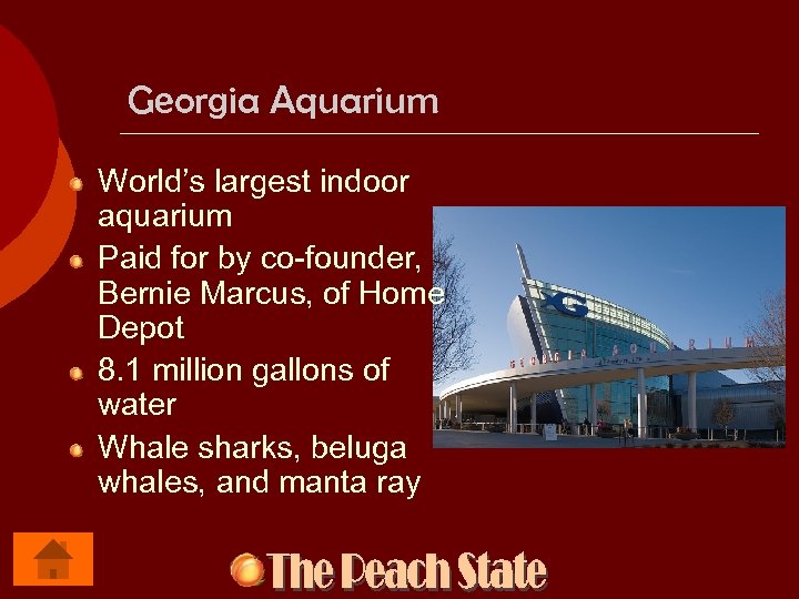 Georgia Aquarium World’s largest indoor aquarium Paid for by co-founder, Bernie Marcus, of Home