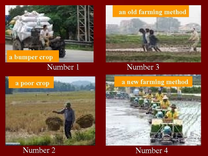 an old farming method a bumper crop Number 1 a poor crop Number 2