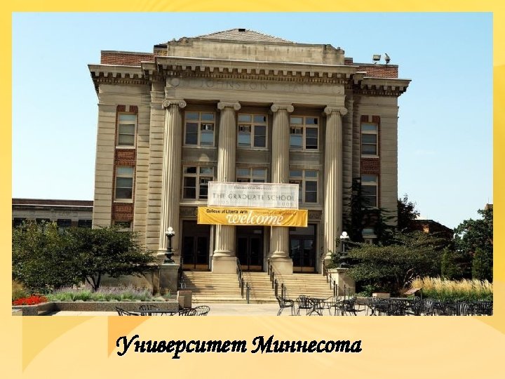 Университет Миннесота 
