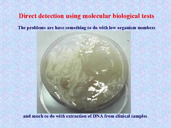Direct detection using molecular biological tests The problems are have something to do with