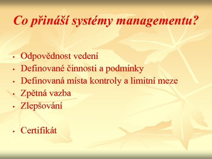 Co přináší systémy managementu? • Odpovědnost vedení Definované činnosti a podmínky Definovaná místa kontroly