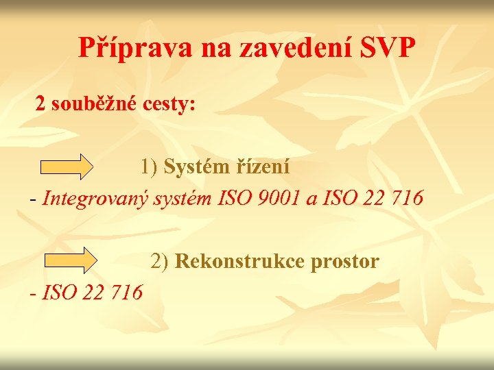 Příprava na zavedení SVP 2 souběžné cesty: 1) Systém řízení - Integrovaný systém ISO