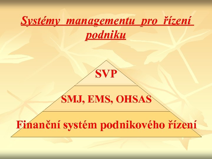 Systémy managementu pro řízení podniku SVP SMJ, EMS, OHSAS Finanční systém podnikového řízení 