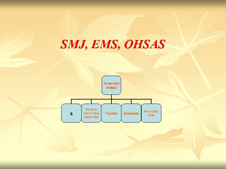 SMJ, EMS, OHSAS Generální ředitel x Obchod, zásobování, skladování Výroba Kontrola Personální úsek 