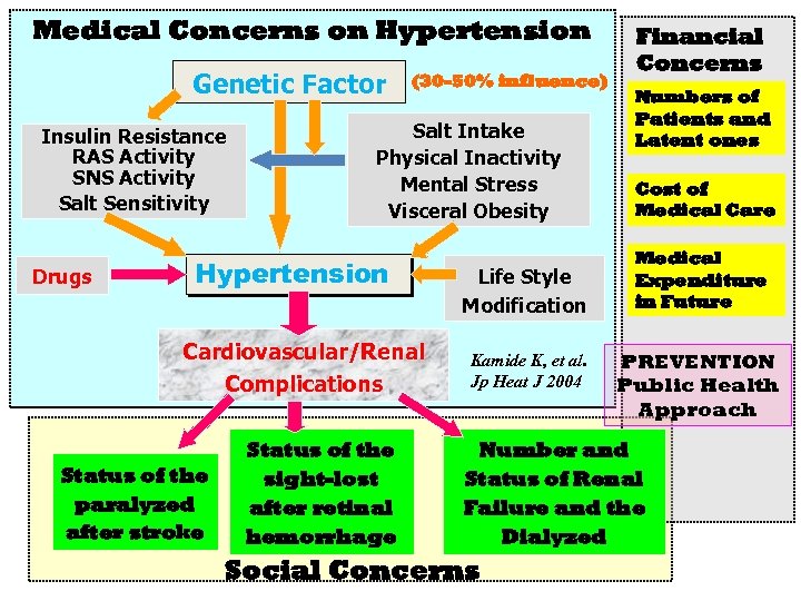Medical Concerns on Hypertension Genetic Factor Insulin Resistance RAS Activity SNS Activity Salt Sensitivity