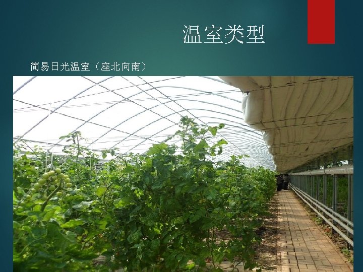 温室类型 简易日光温室（座北向南） 