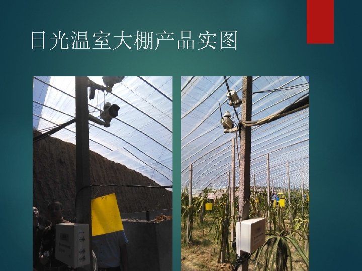 日光温室大棚产品实图 