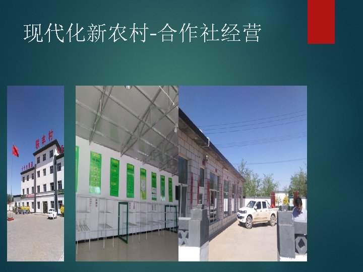 现代化新农村-合作社经营 