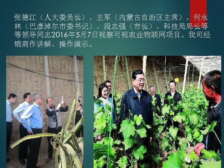 张德江（人大委员长）、王军（内蒙古自治区主席）、何永 林（巴彥淖尔市委书记）、段志强（市长）、科技局局长等 等领导同志 2016年 5月7日视察可视农业物联网项目。我司经 销商作讲解、操作演示。 