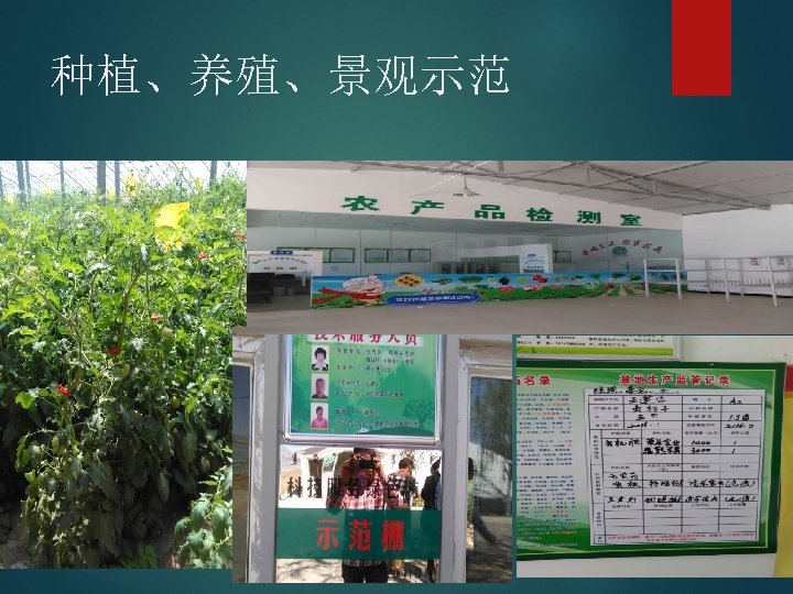 种植、养殖、景观示范 