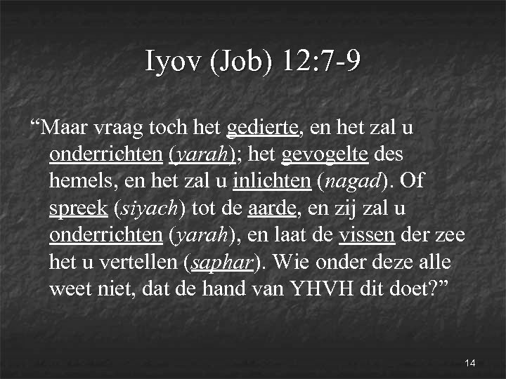 Iyov (Job) 12: 7 -9 “Maar vraag toch het gedierte, en het zal u