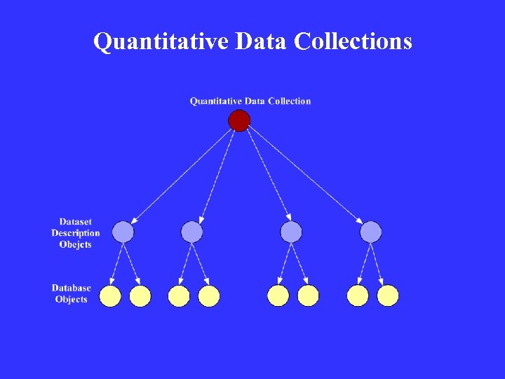 Quantitative Data Collections 