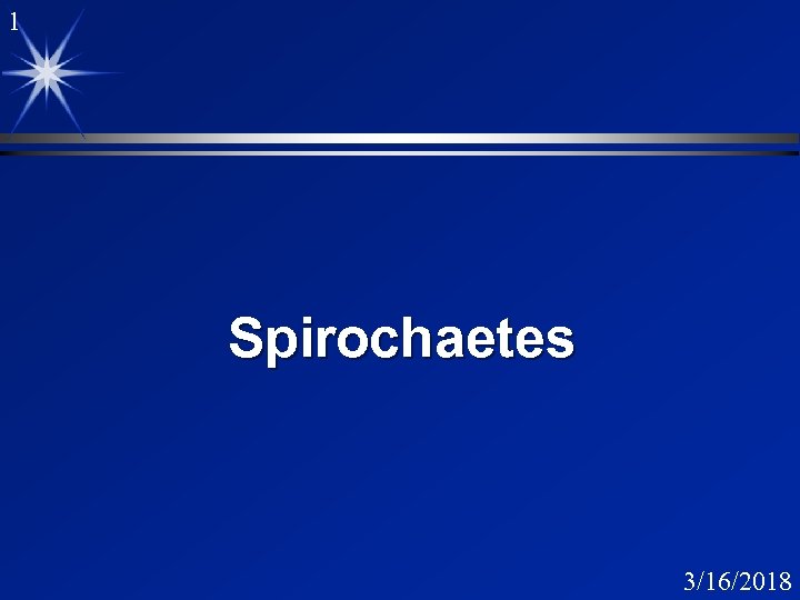 1 Spirochaetes 3/16/2018 