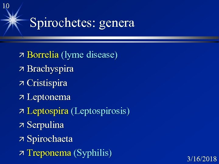 10 Spirochetes: genera ä Borrelia (lyme disease) ä Brachyspira ä Cristispira ä Leptonema ä