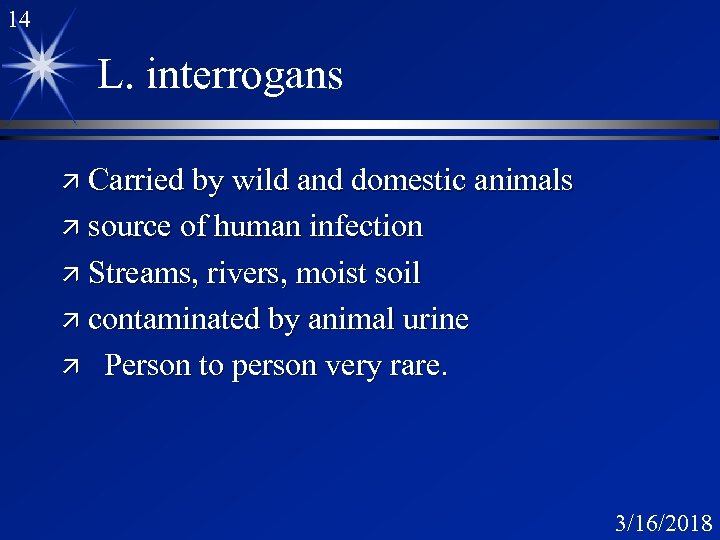 14 L. interrogans ä Carried by wild and domestic animals ä source of human
