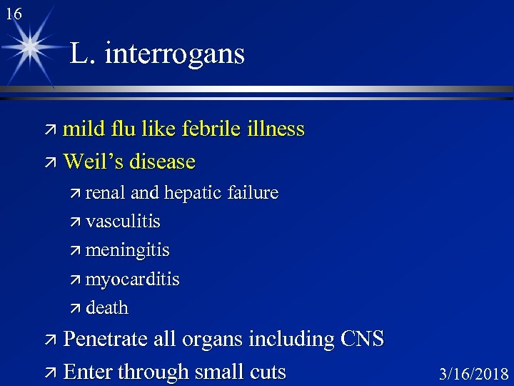 16 L. interrogans ä mild flu like febrile illness ä Weil’s disease ä renal