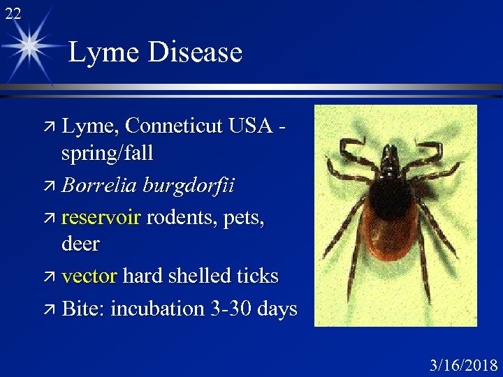 22 Lyme Disease ä Lyme, Conneticut USA - spring/fall ä Borrelia burgdorfii ä reservoir