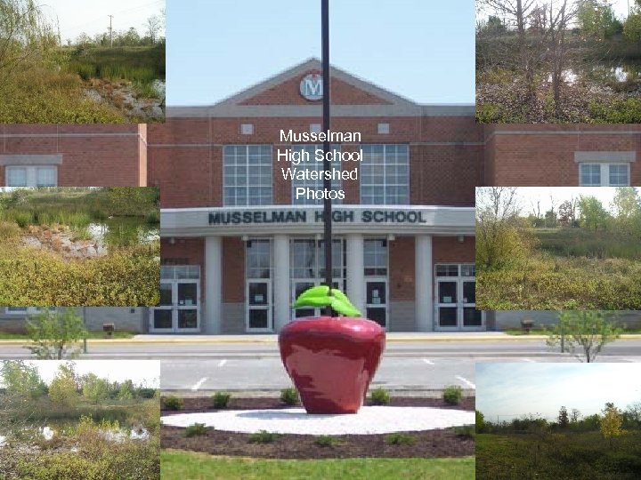 Musselman High School Watershed Photos 