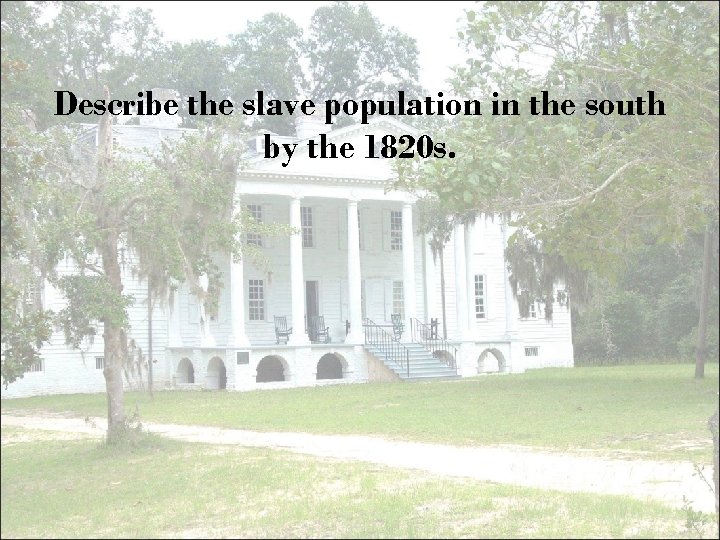 Describe the slave population in the south by the 1820 s. 