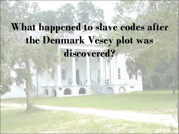 What happened to slave codes after the Denmark Vesey plot was discovered? 