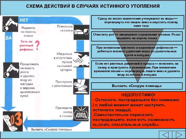 СХЕМА ДЕЙСТВИЙ В СЛУЧАЯХ ИСТИННОГО УТОПЛЕНИЯ Сразу же после извлечения утонувшего из воды перевернуть