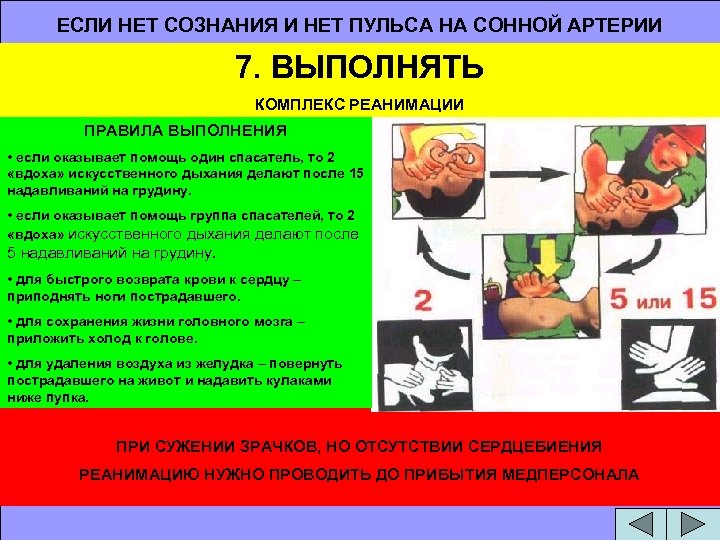 ЕСЛИ НЕТ СОЗНАНИЯ И НЕТ ПУЛЬСА НА СОННОЙ АРТЕРИИ 7. ВЫПОЛНЯТЬ КОМПЛЕКС РЕАНИМАЦИИ ПРАВИЛА