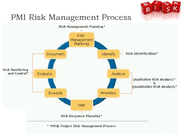 PMI Risk Management Process 