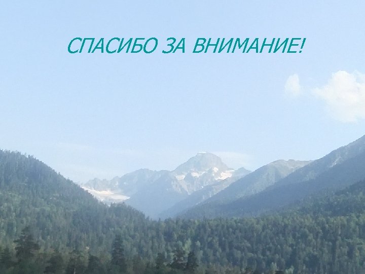 СПАСИБО ЗА ВНИМАНИЕ! 