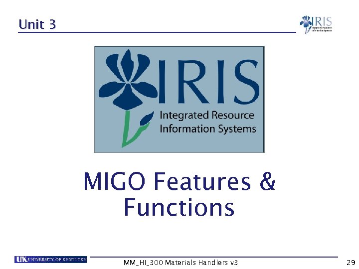 Unit 3 MIGO Features & Functions MM_HI_300 Materials Handlers v 3 29 