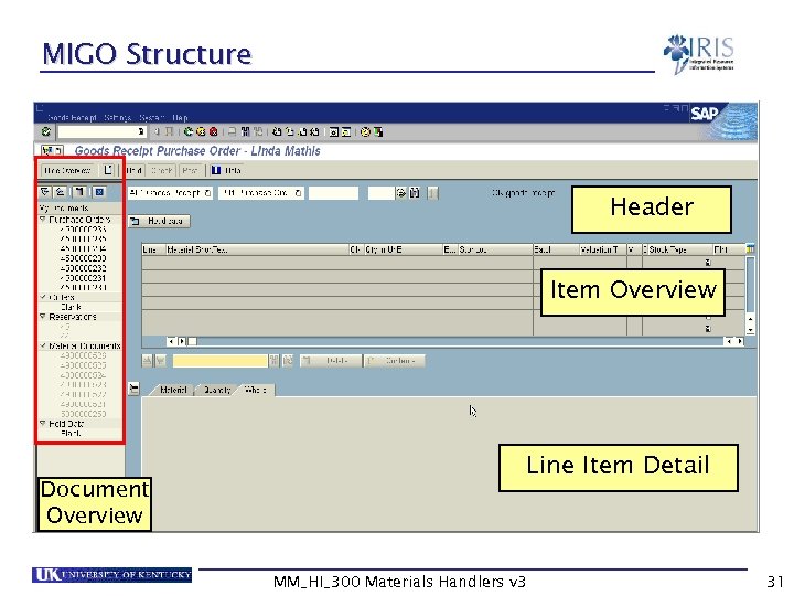 MIGO Structure Header Item Overview Document Overview Line Item Detail MM_HI_300 Materials Handlers v