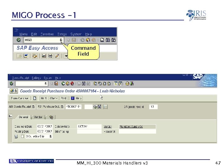 MIGO Process -1 Command Field MM_HI_300 Materials Handlers v 3 47 