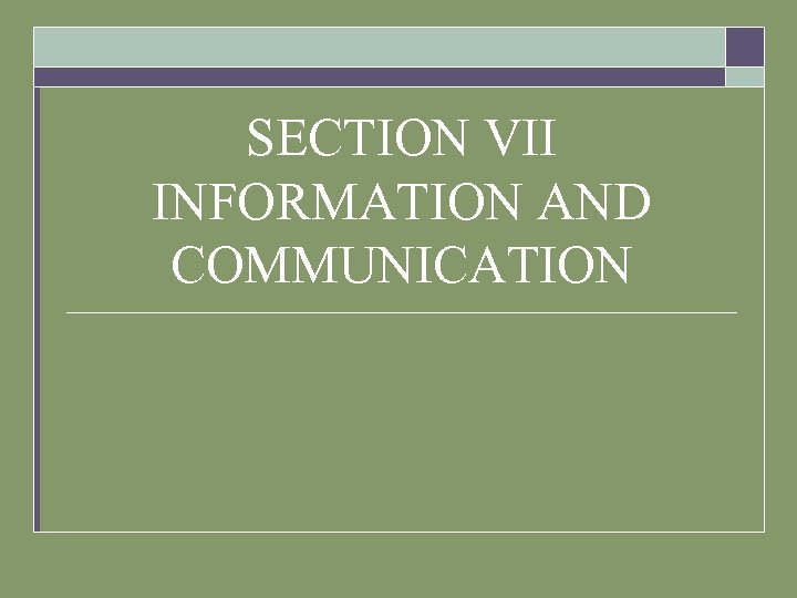 SECTION VII INFORMATION AND COMMUNICATION 