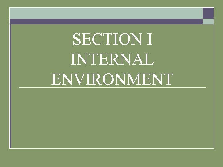 SECTION I INTERNAL ENVIRONMENT 