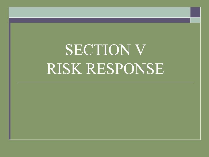 SECTION V RISK RESPONSE 