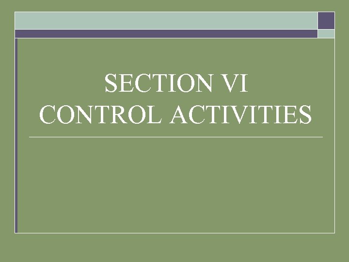 SECTION VI CONTROL ACTIVITIES 