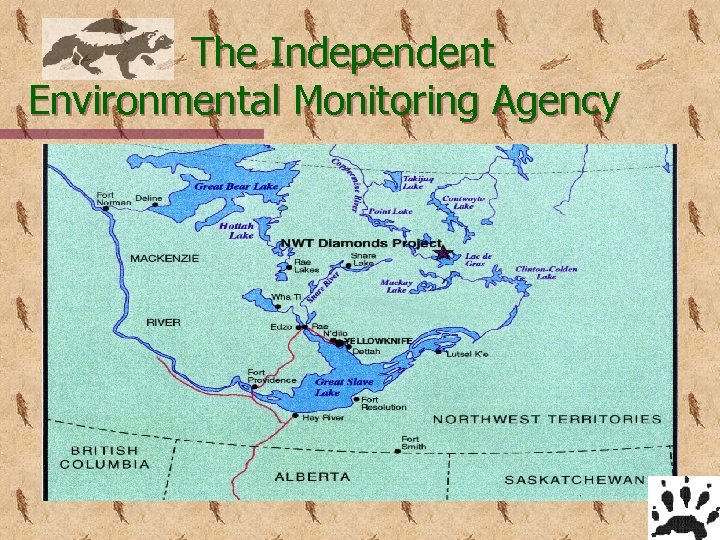  The Independent Environmental Monitoring Agency 