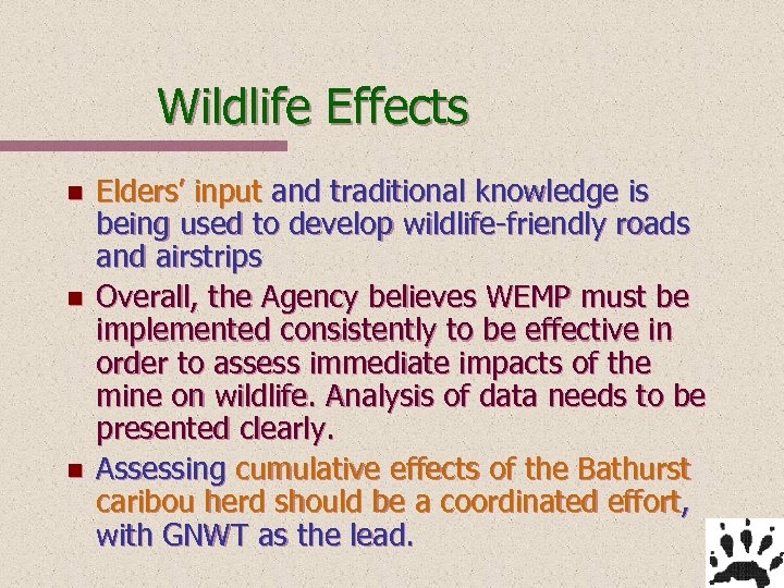 Wildlife Effects n n n Elders’ input and traditional knowledge is being used to