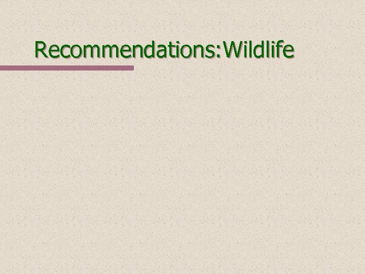 Recommendations: Wildlife 