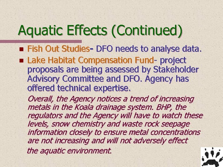 Aquatic Effects (Continued) n n Fish Out Studies- DFO needs to analyse data. Lake