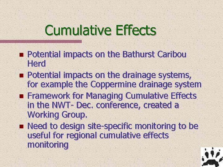 Cumulative Effects n n Potential impacts on the Bathurst Caribou Herd Potential impacts on