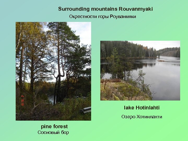 Surrounding mountains Rouvanmyaki Окрестности горы Роуванмяки lake Hotinlahti Озеро Хотинлахти pine forest Сосновый бор