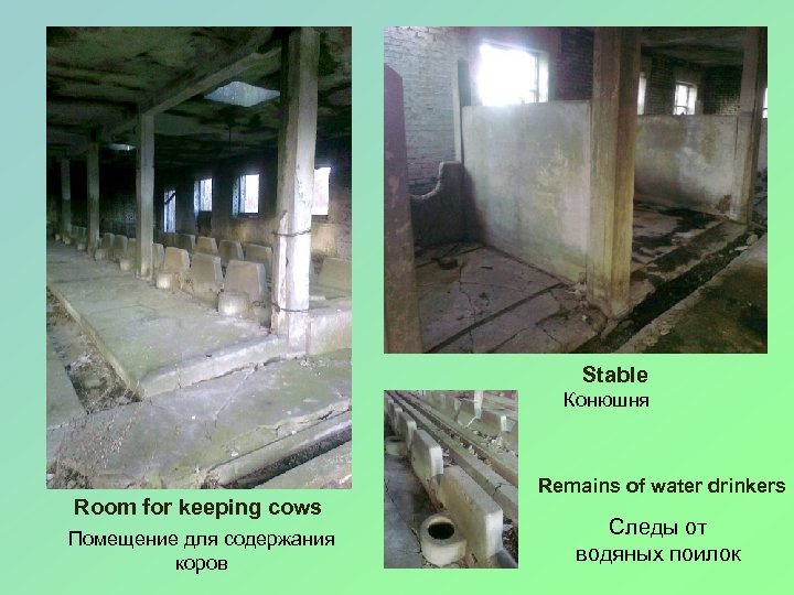 Stable Конюшня Room for keeping cows Помещение для содержания коров Remains of water drinkers