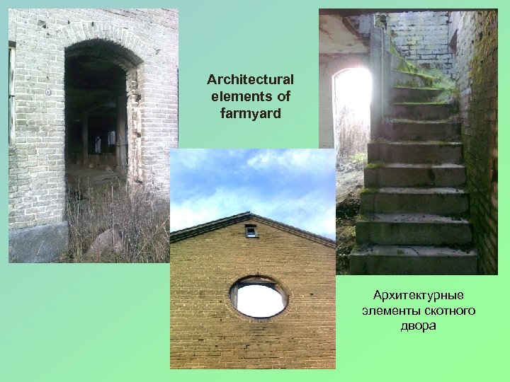 Architectural elements of farmyard Архитектурные элементы скотного двора 