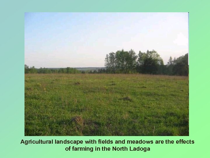 Agricultural landscape with fields and meadows are the effects of farming in the North