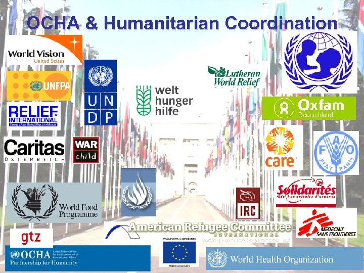 OCHA & Humanitarian Coordination 14 