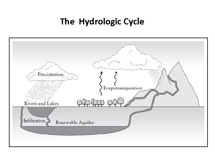 The Hydrologic Cycle 