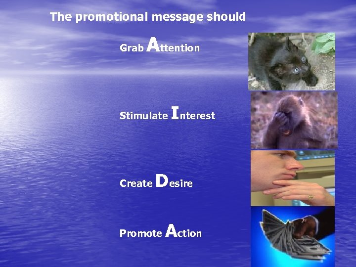 The promotional message should Grab Attention Stimulate Create Interest Desire Promote Action 