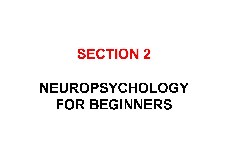 SECTION 2 NEUROPSYCHOLOGY FOR BEGINNERS 